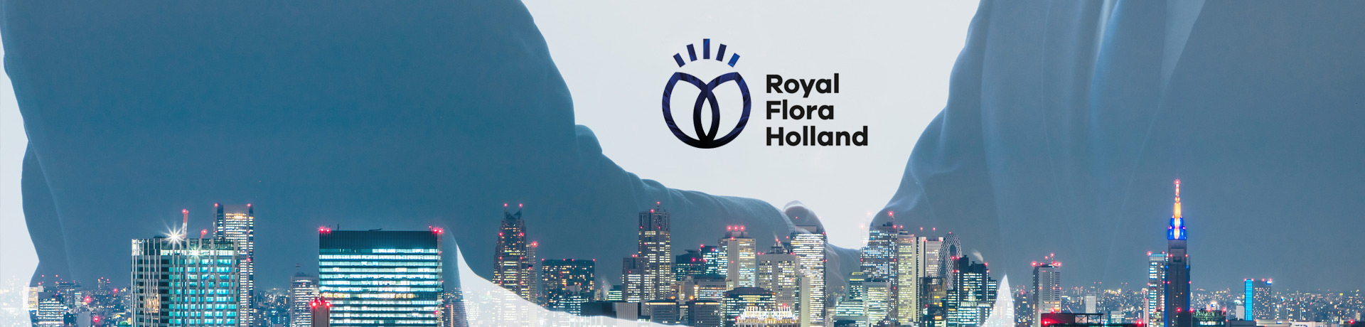 Manager Sales & Accountmanagement | Royal FloraHolland