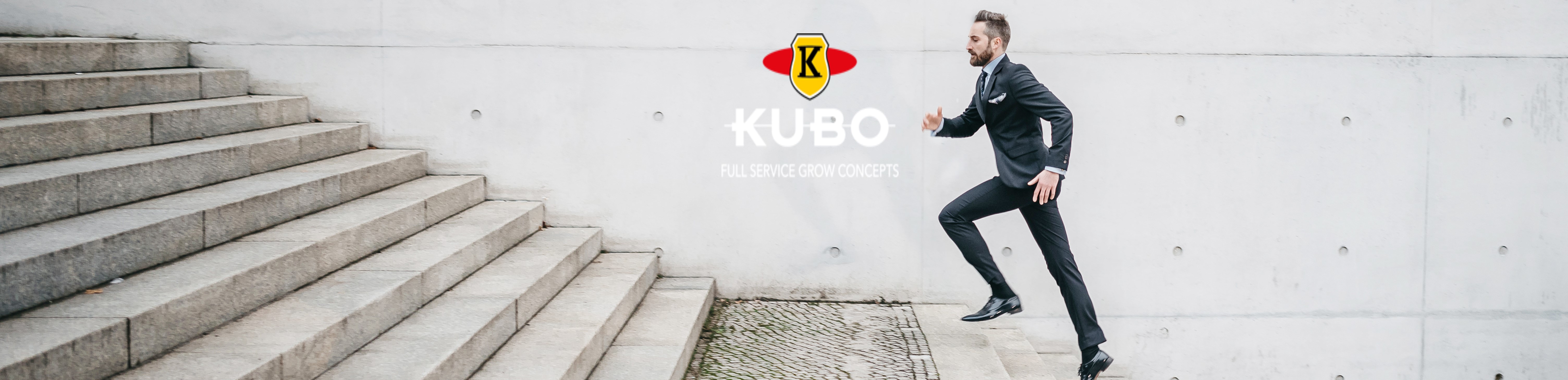 International Salesmanager VS | KUBO