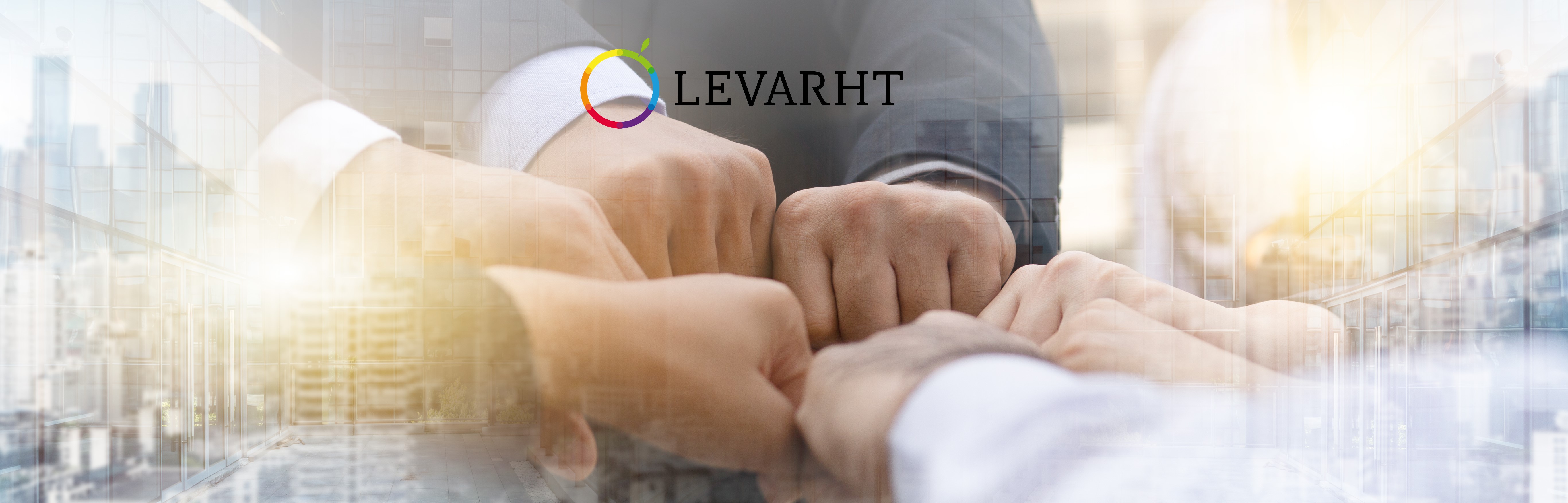 Commercieel Manager Europa | Levarht