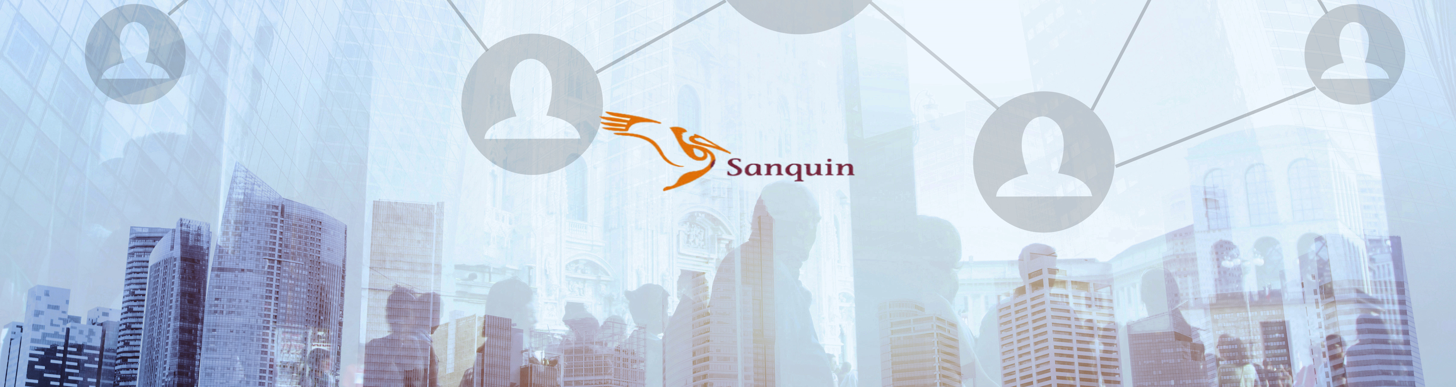 Cyber Security Engineer | Sanquin