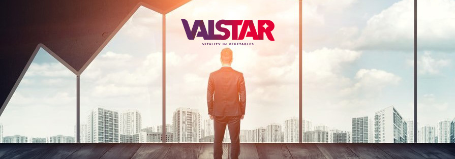 Commercieel Directeur | Valstar